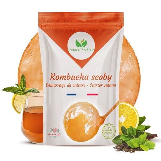 Sachet de SCOBY de kombucha Natural Probio, démarrage de culture